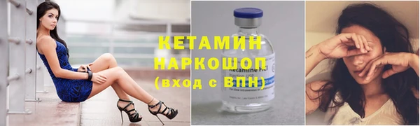 индика Бородино